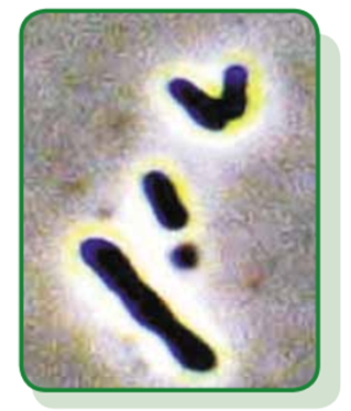 1.png 1.png